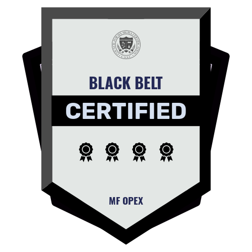 LSS Black Belt